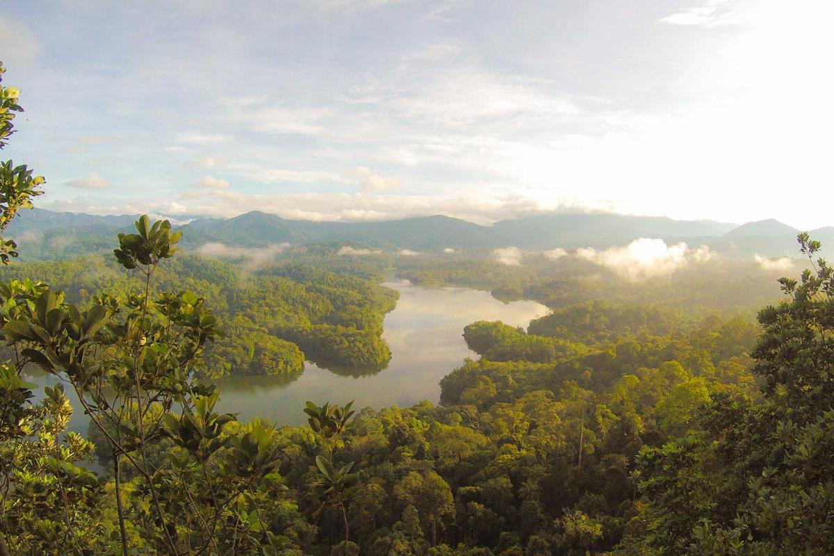 Hikers ascending a tropical rainforest trail in Malaysia with misty mountain views
